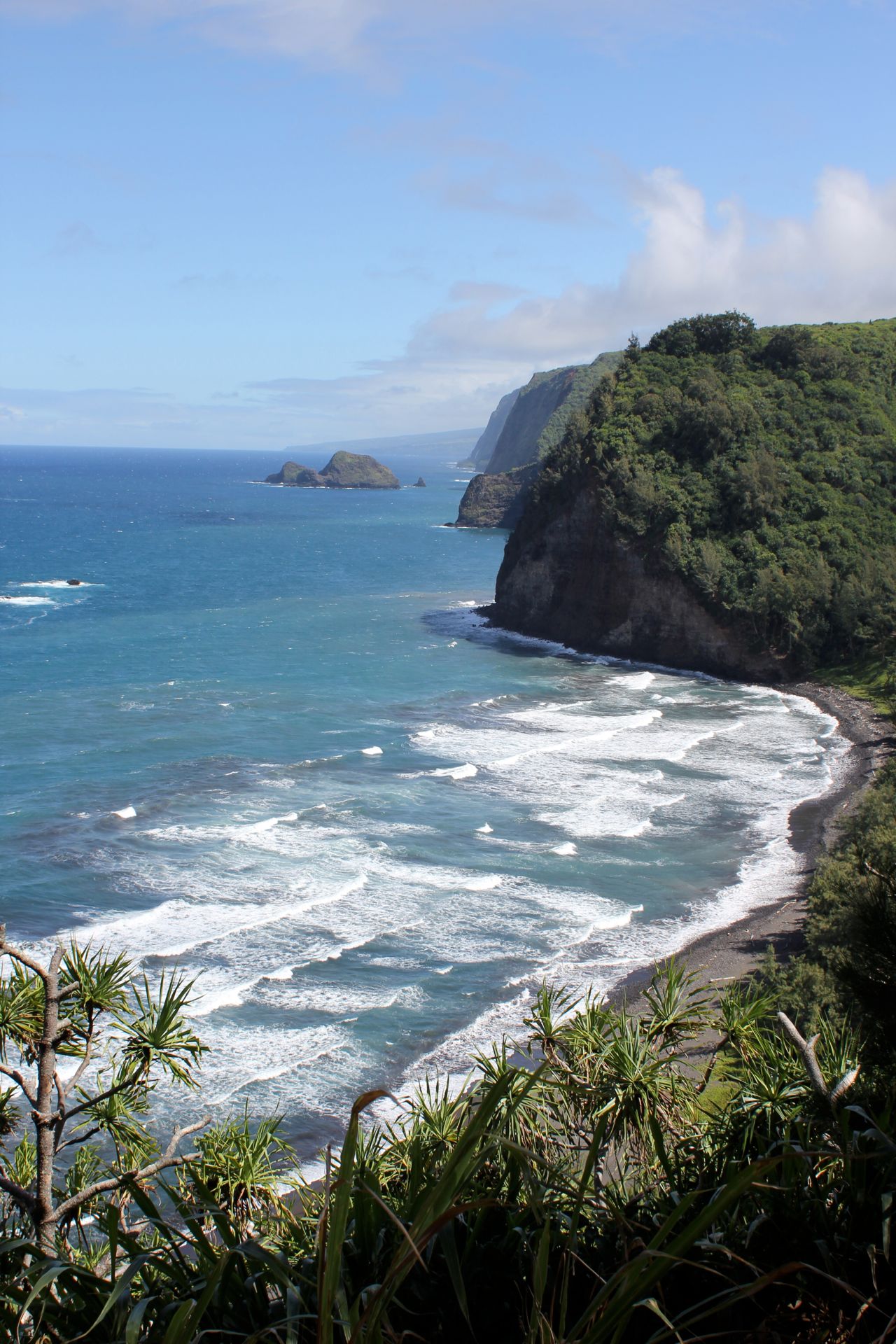 Pololu Lookout
