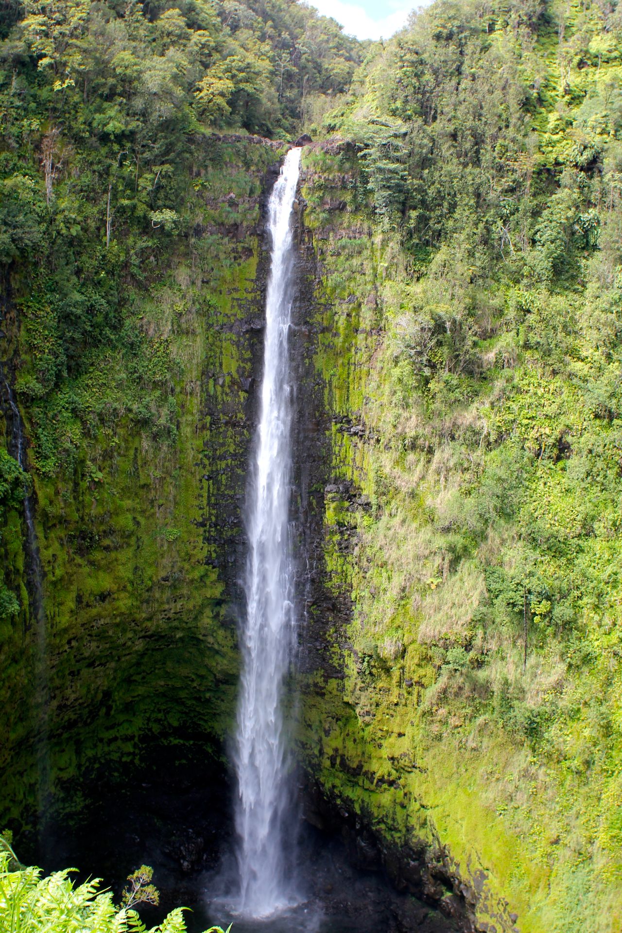 Akaka Falls