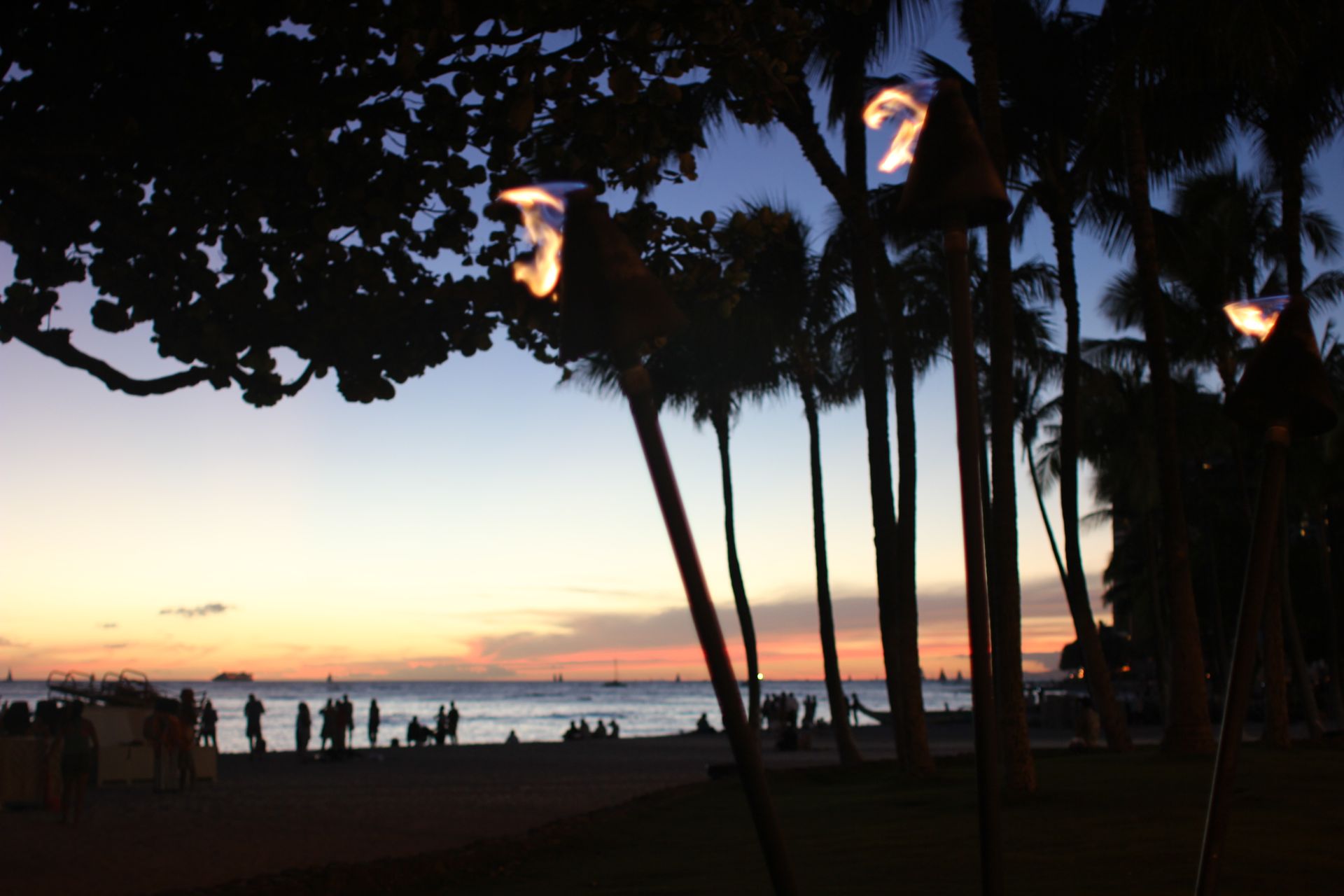 Waikiki Tiki